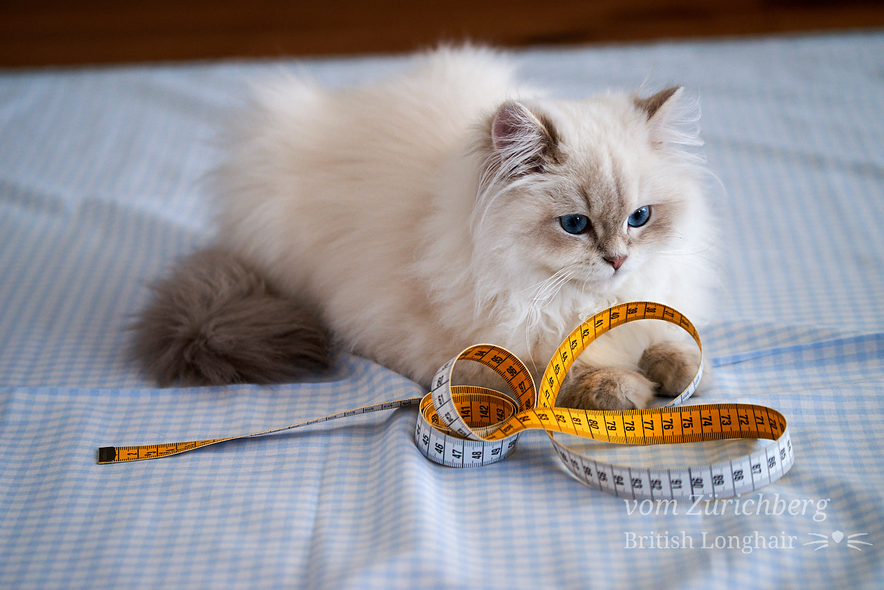 Marin fashion 4