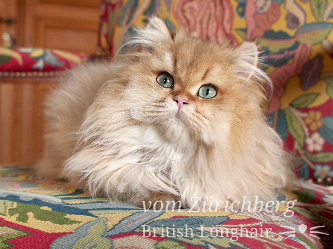 British_2018-12-38604