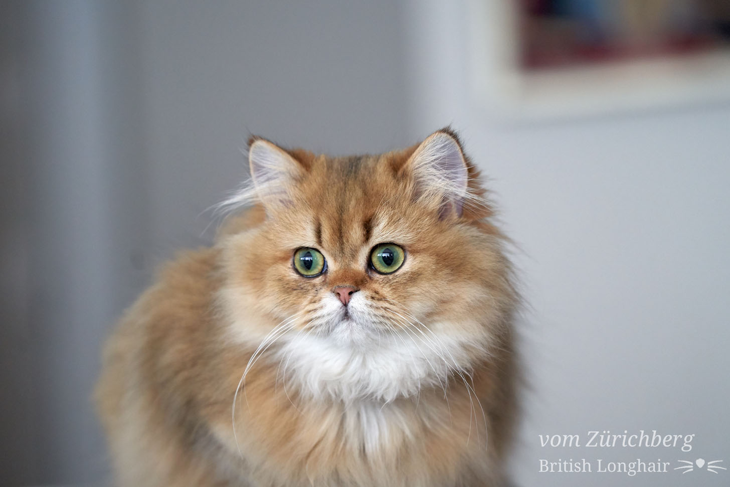 Faustine_2019-01-10701