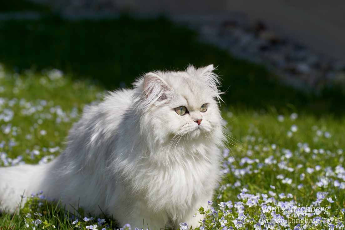 Image021