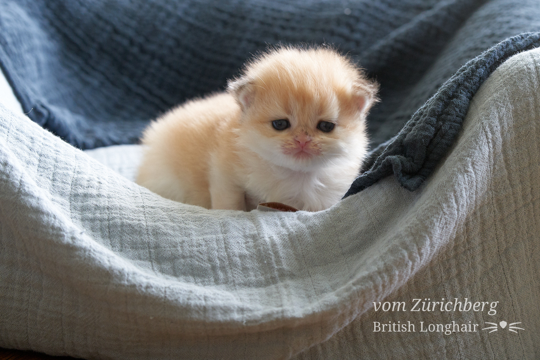 Faustine Litter F3_2019-10-016
