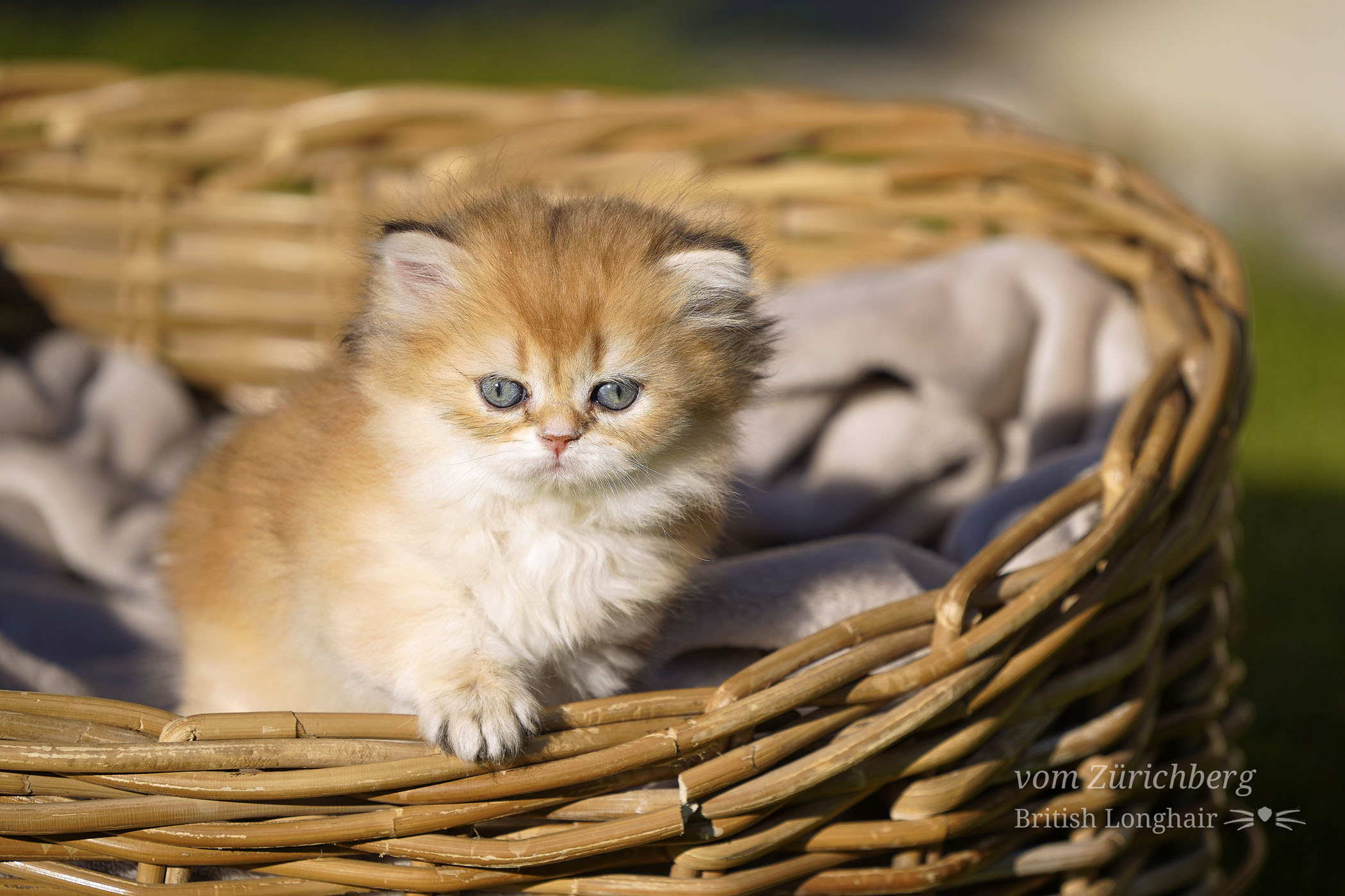 Litter_G2-3_2020-04-657