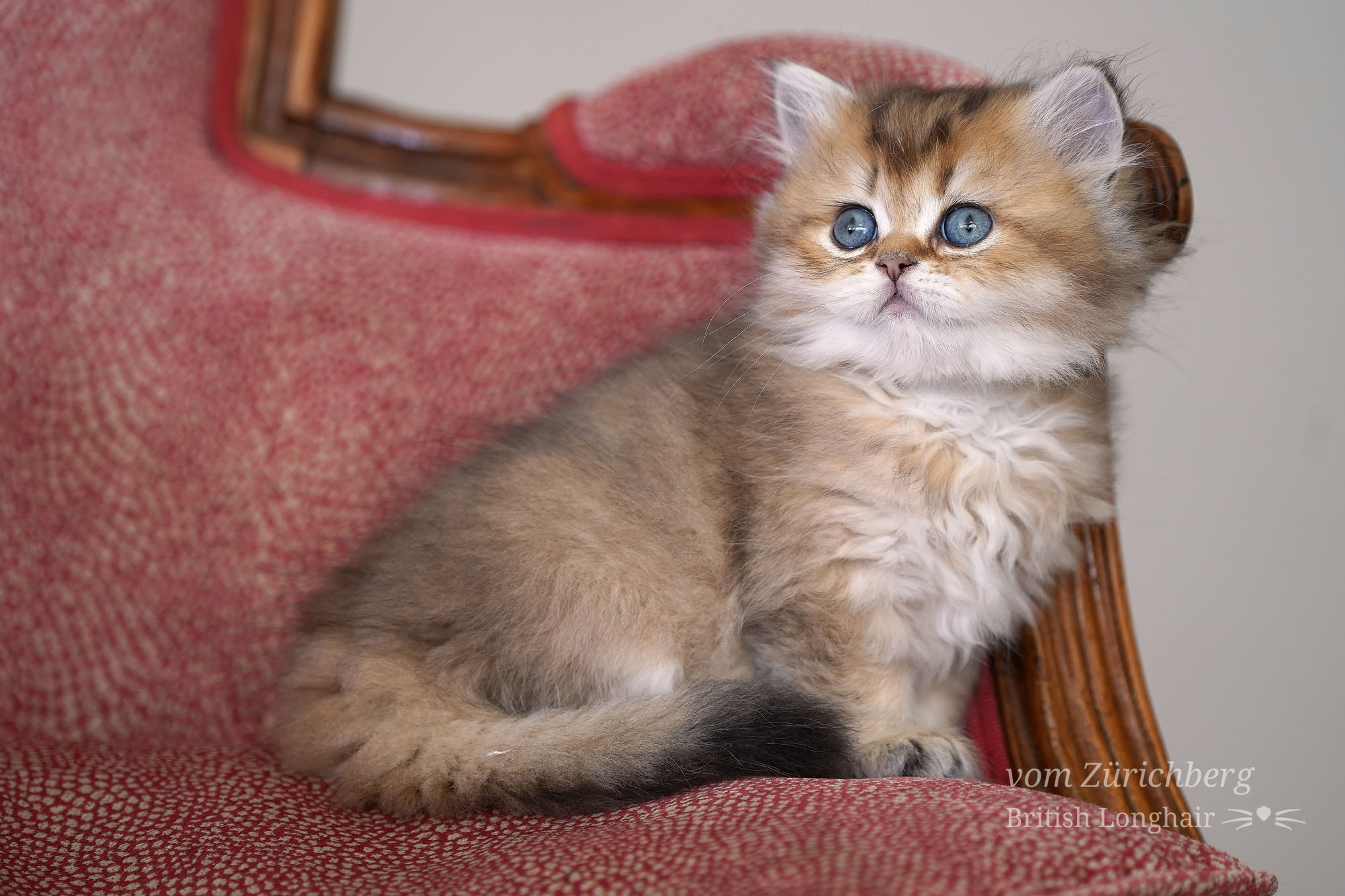 Litter_G3_2020-04-014