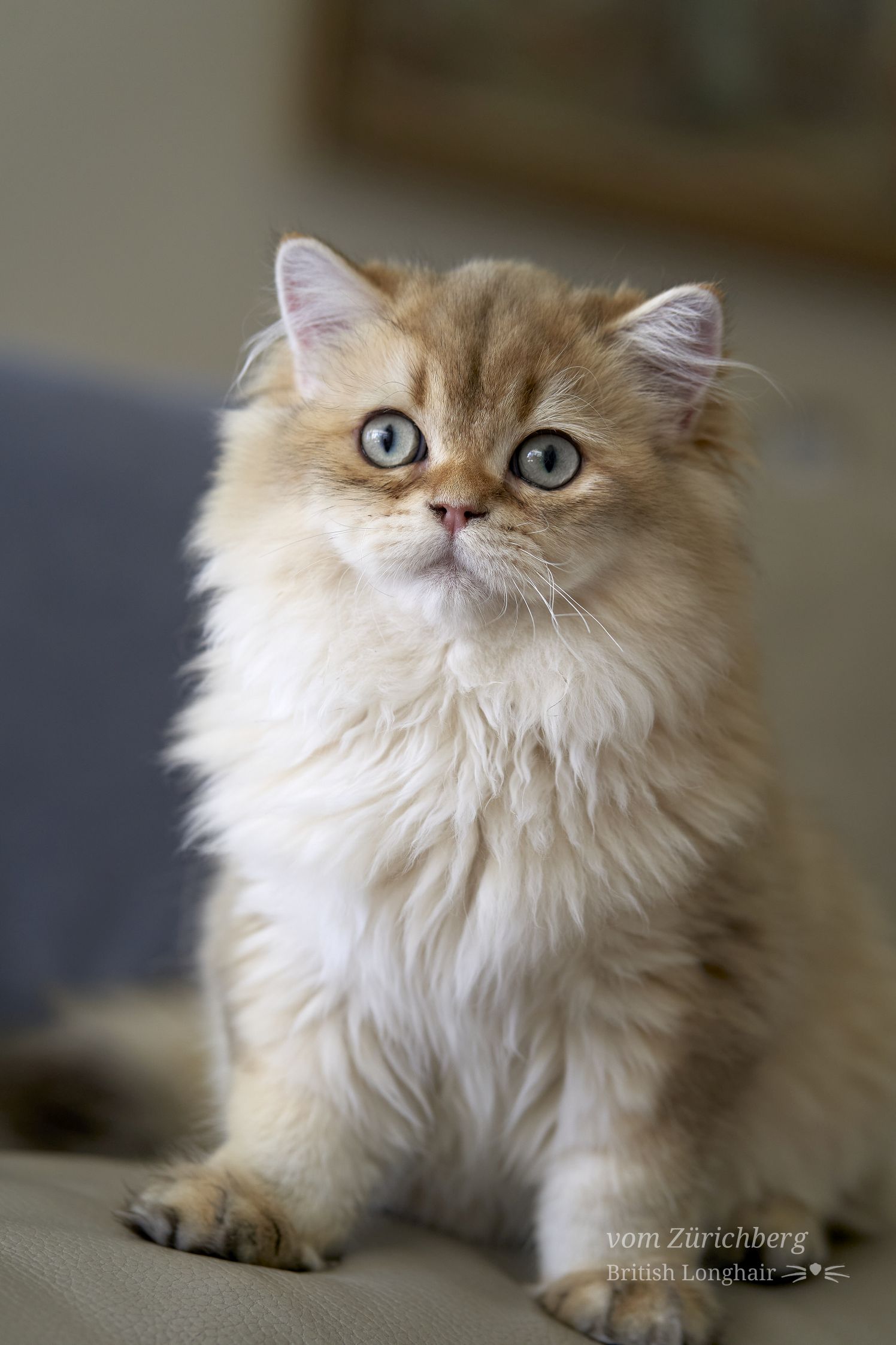 small_033