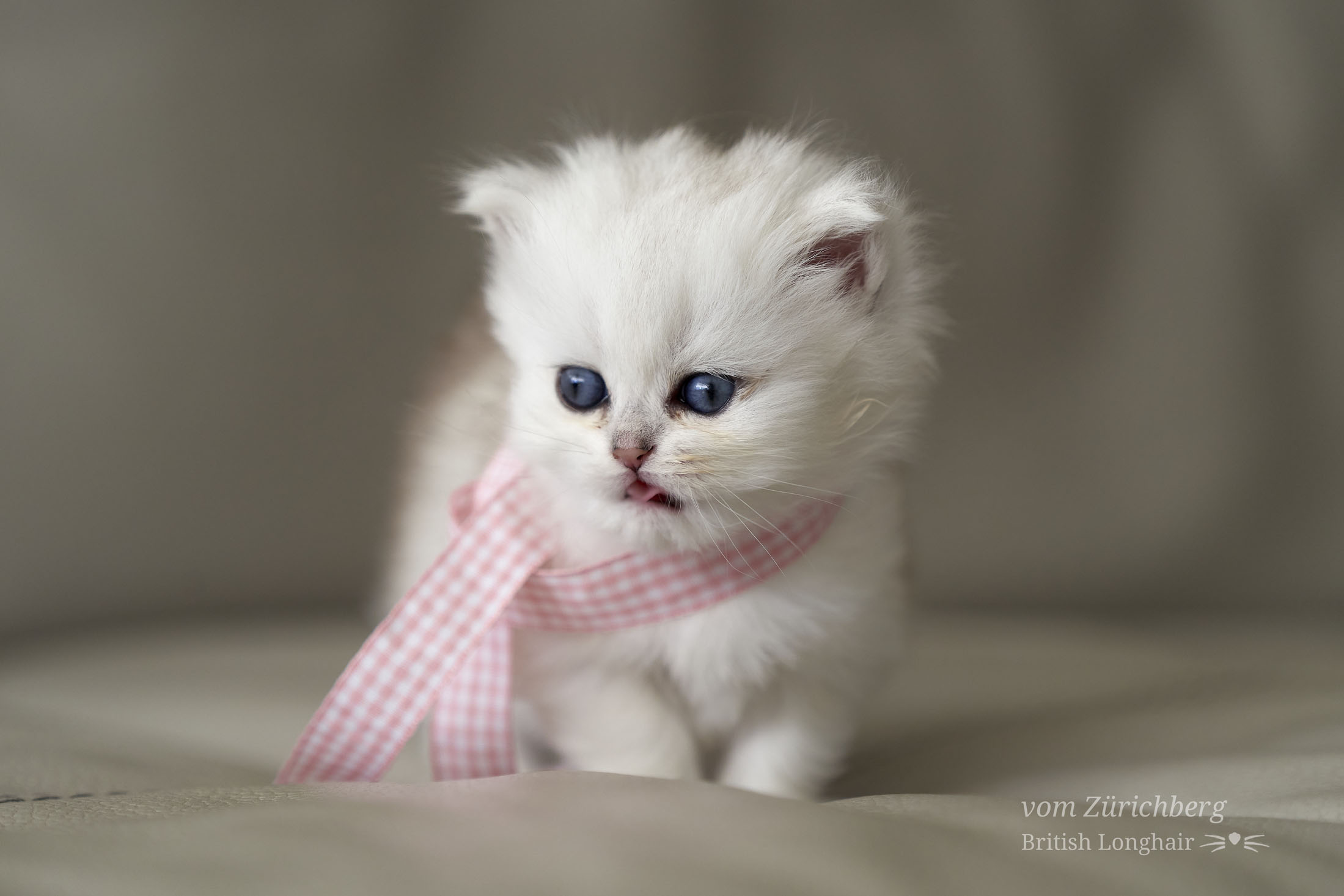 Litter G4_2020-09-144