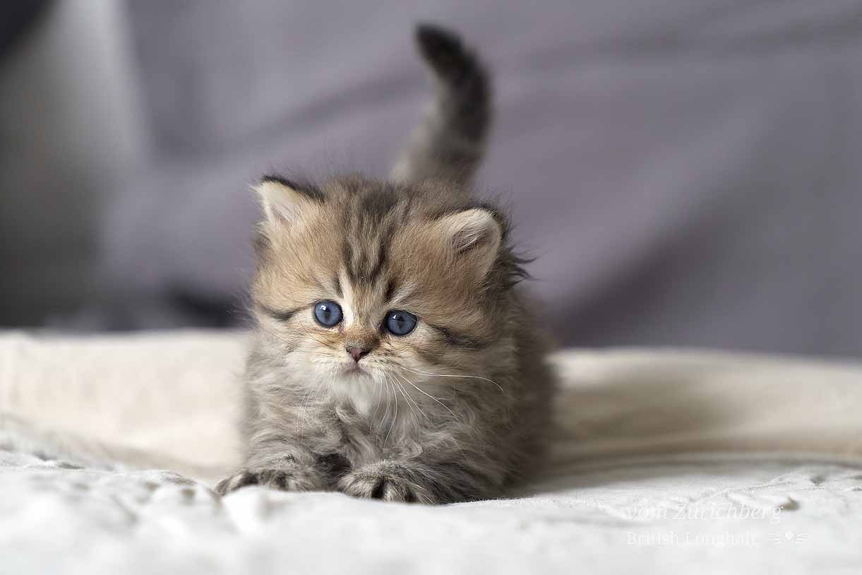 small007
